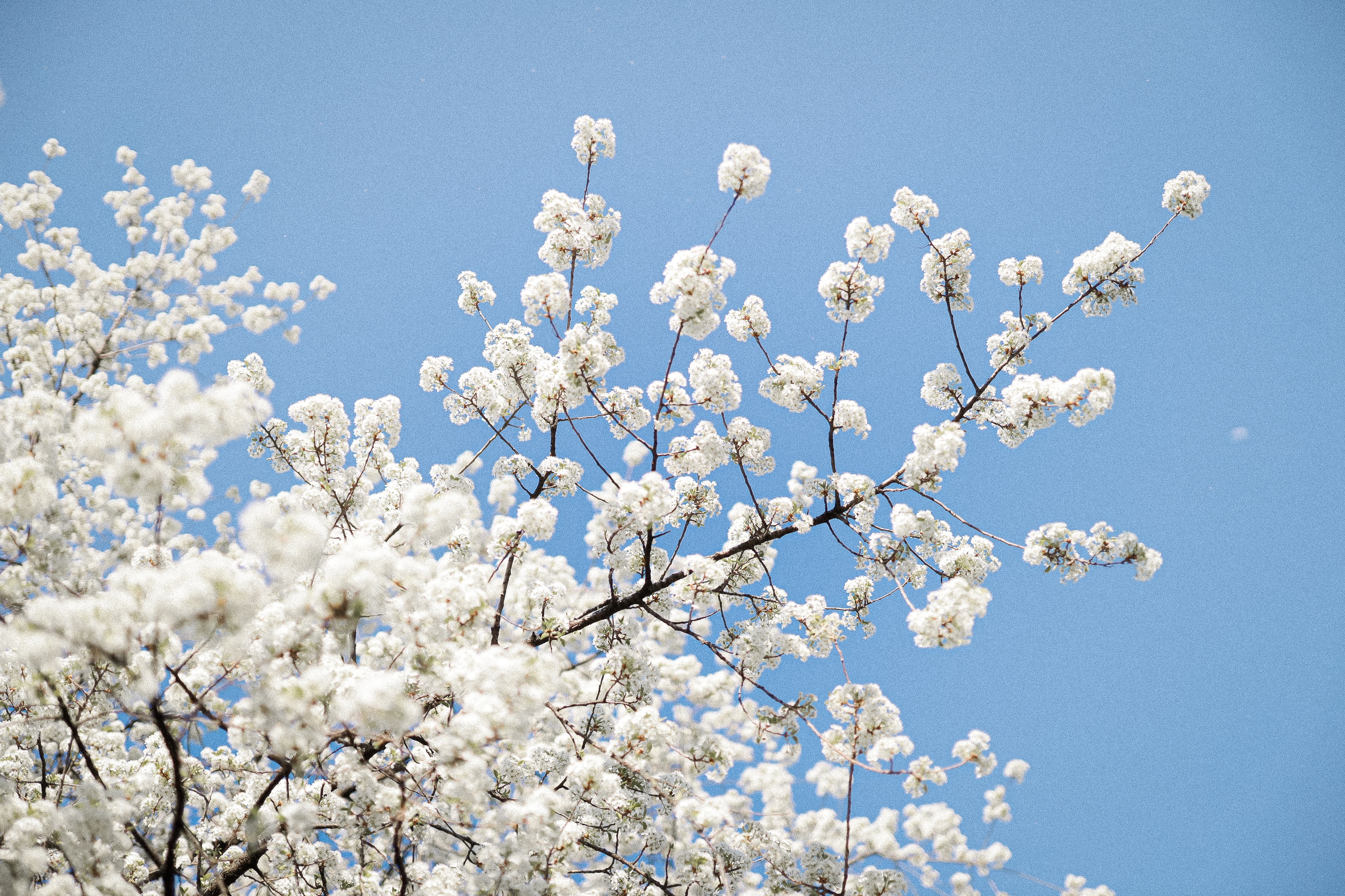 Hate Crimes Against Humanity: Contrasting Prejudice and Rahma