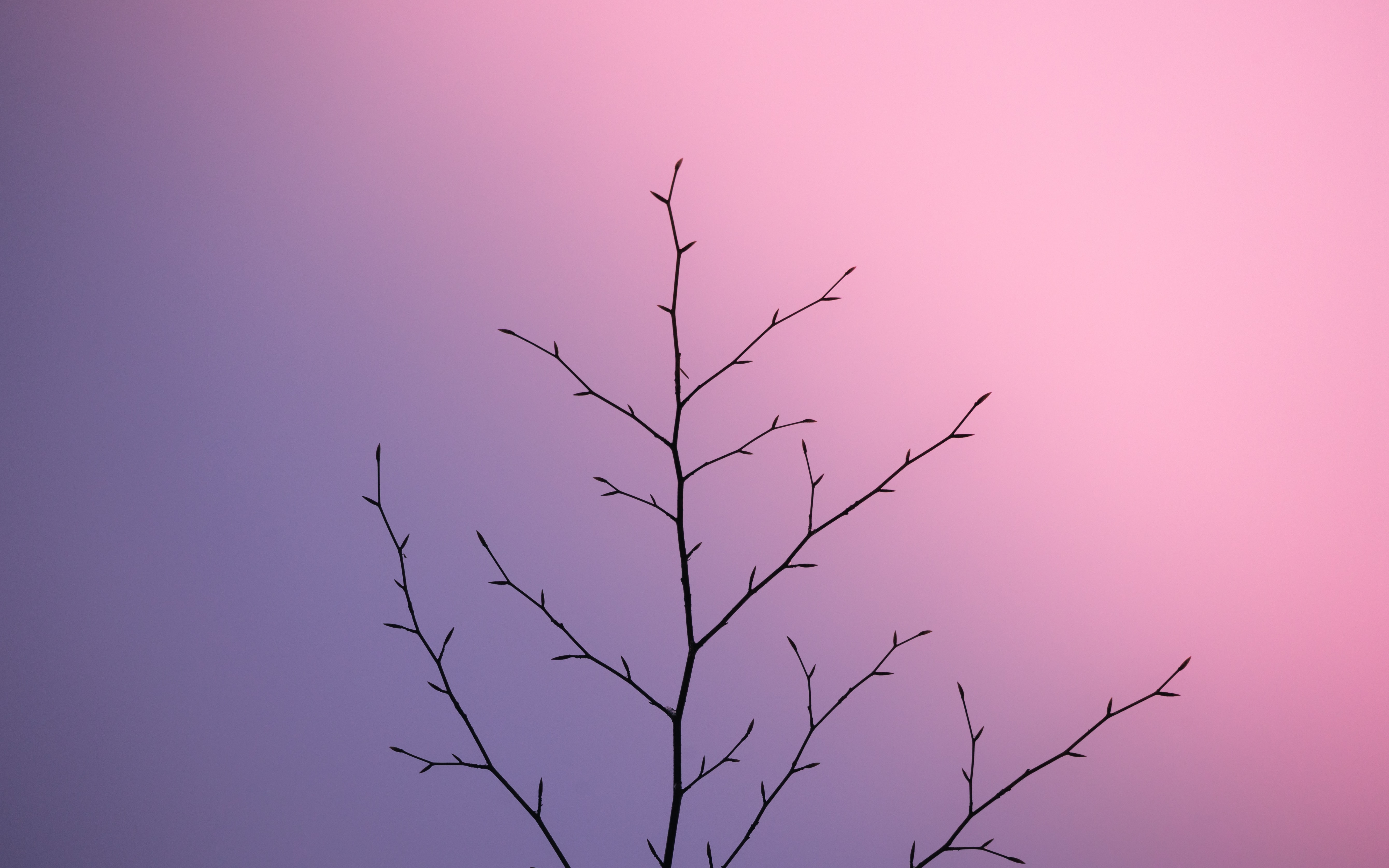 Experience Isn’t Enough