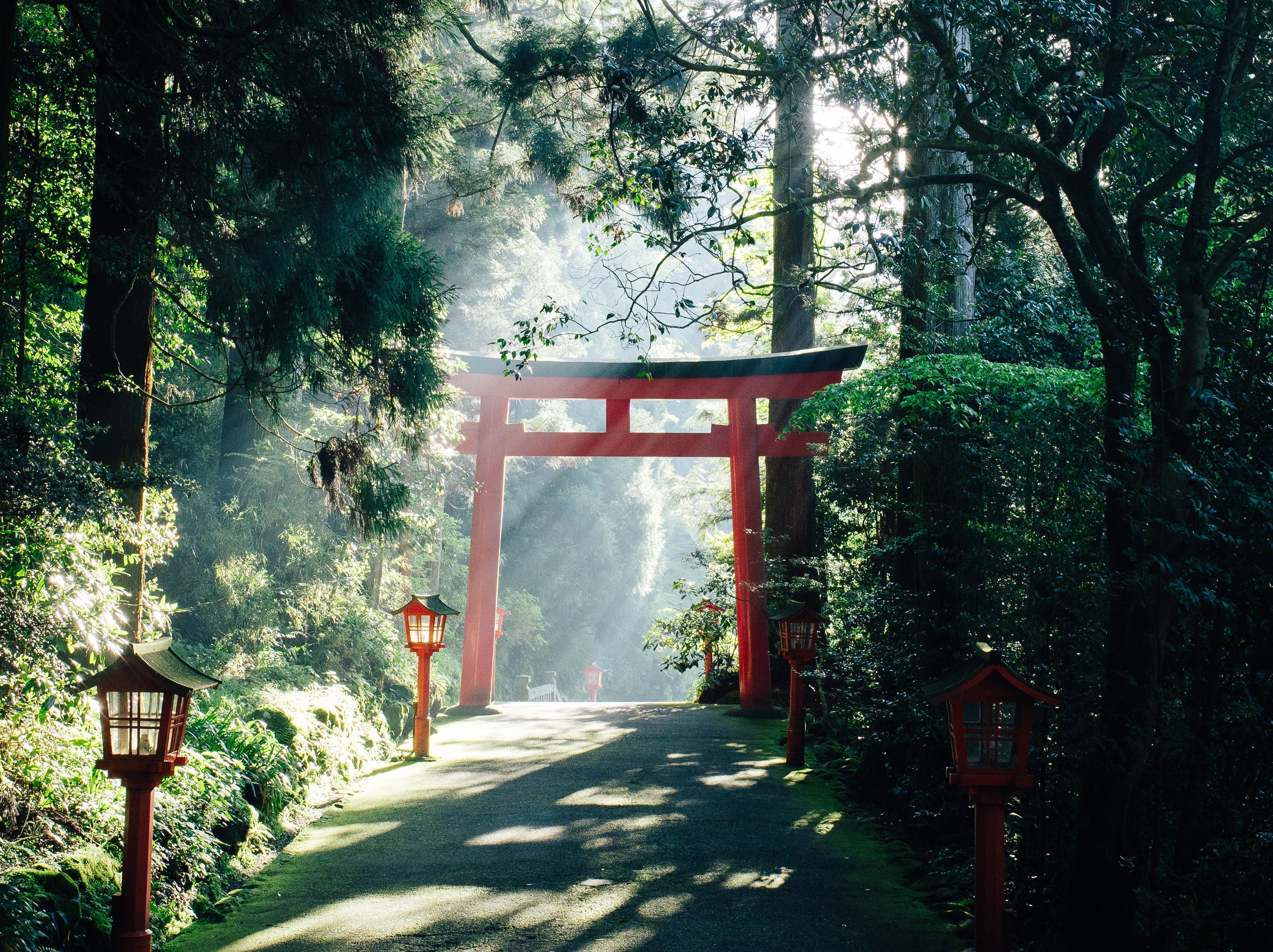 علماء المسلمين في اليابان: التفكر في الإسلام في مجتمع غير مسلم