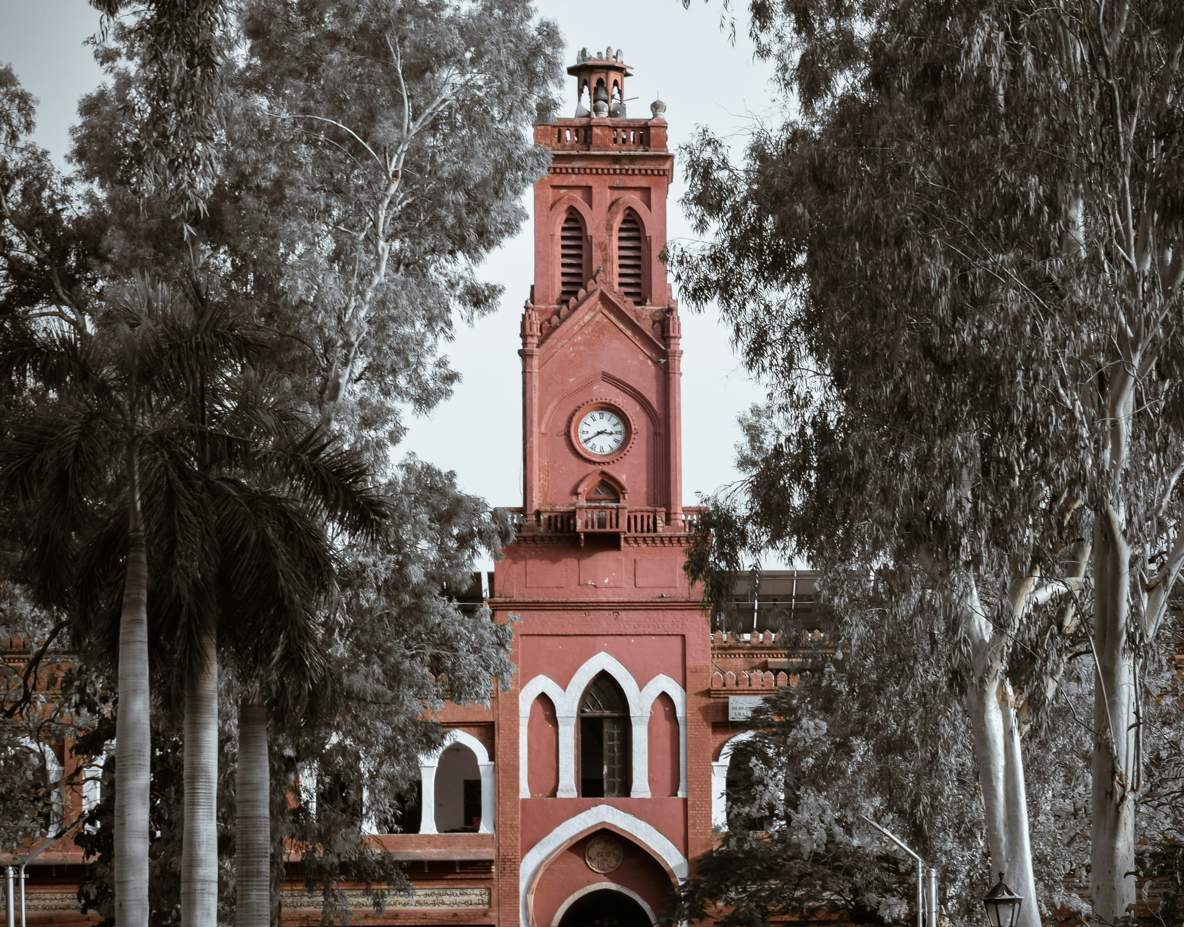 Negotiating Allegiances: Muslim Universities in the Making of Postcolonial India