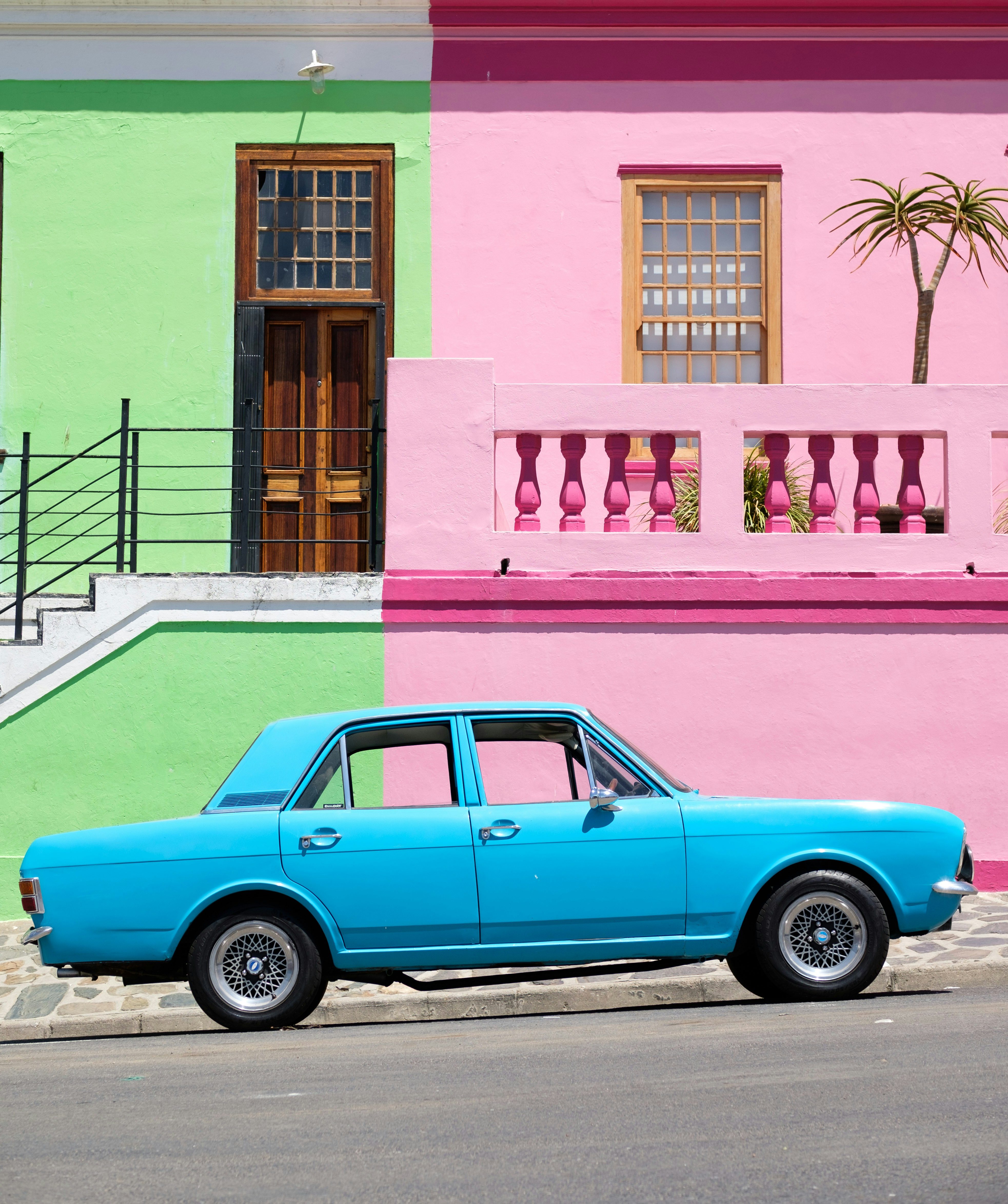 Art Curation in South Africa